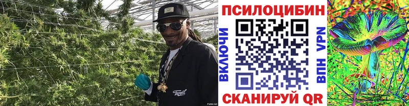 Галлюциногенные грибы Cubensis kraken зеркало Мосальск